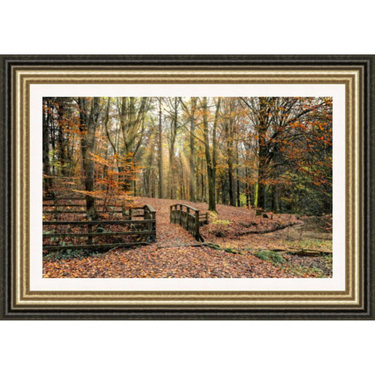 Autumn at Portglenone Forest Framed Picture