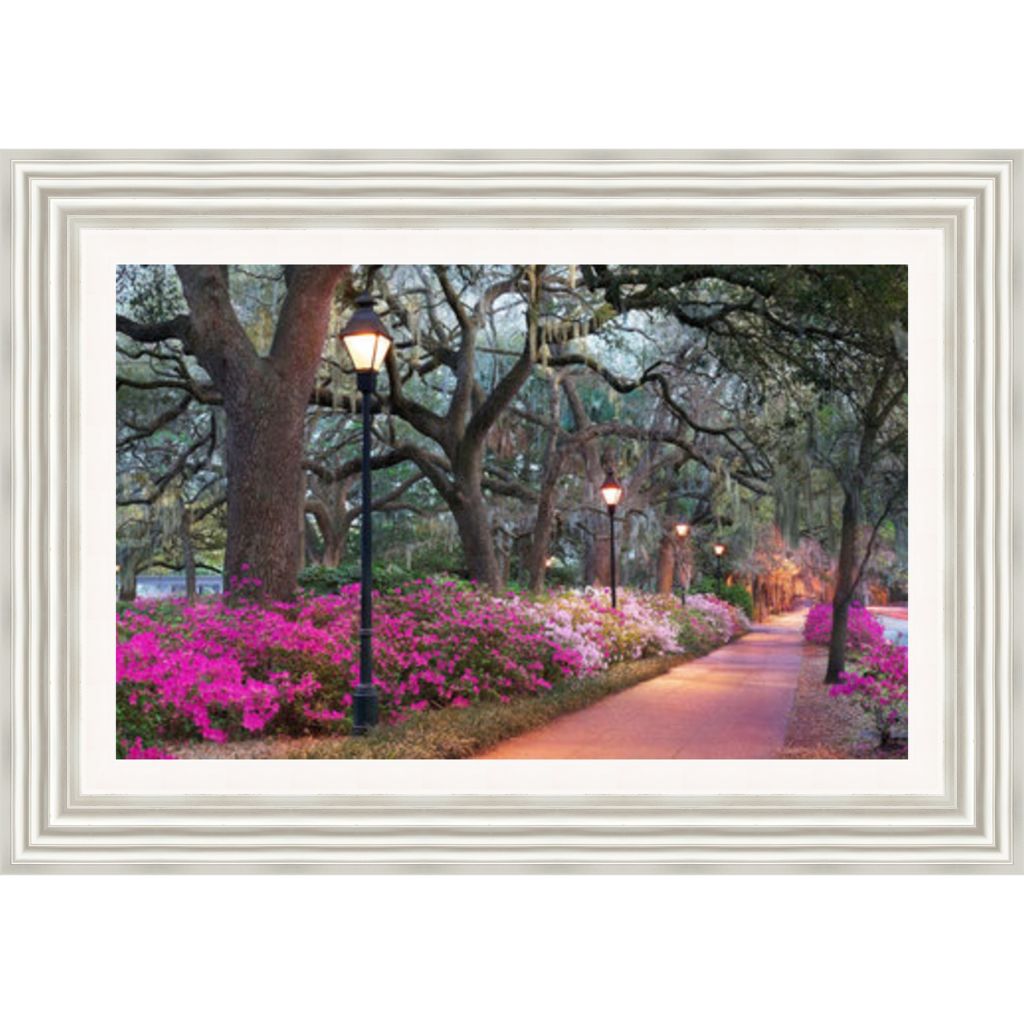 Forsythe Park Framed Picture