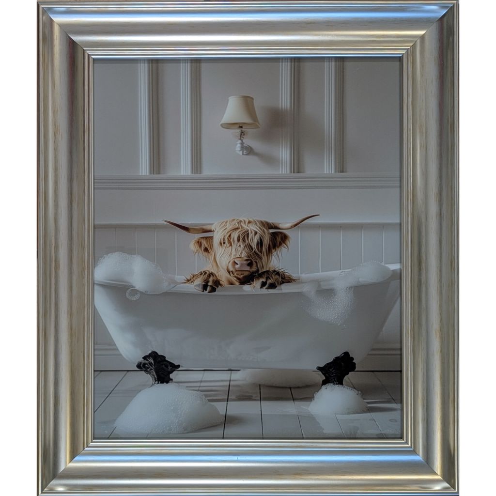 Highland Cow In Bath Framed Picture